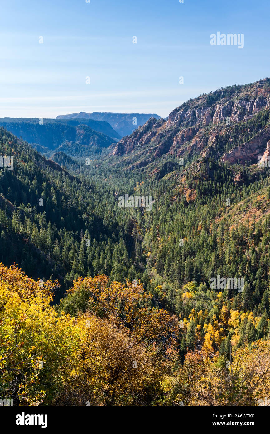 Vue panoramique sur Oak Creek Canyon et la Highway 89A entre Flagstaff et Sedona, Arizona Banque D'Images
