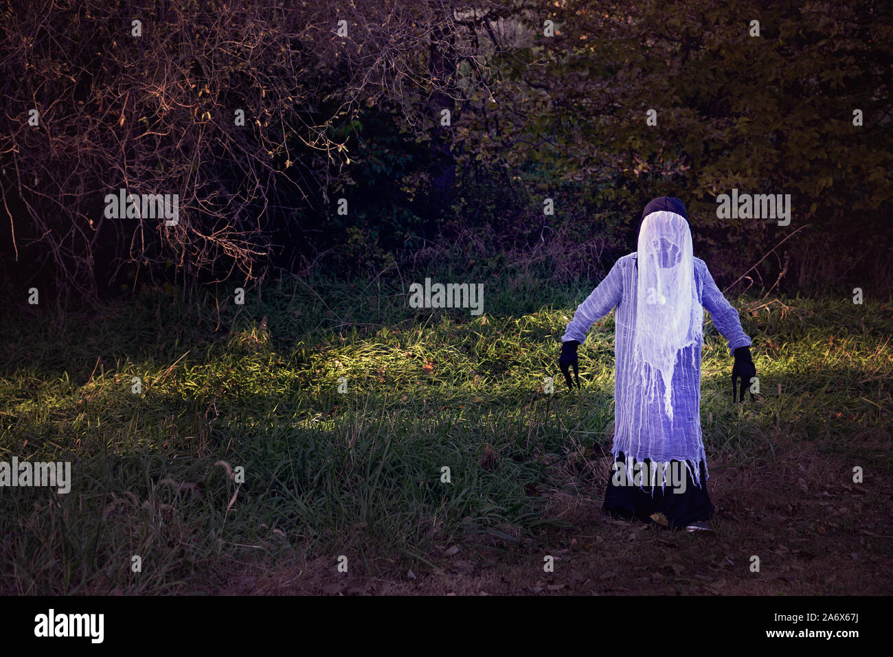 Un fantôme éclatant dans les bois, blanc effrayant Banque D'Images