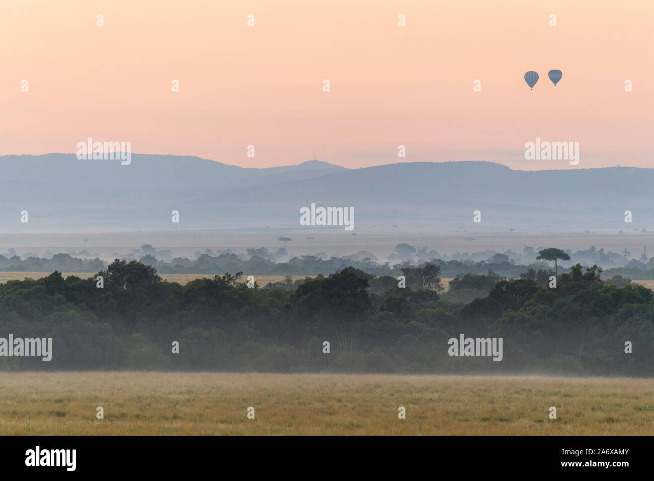 La savane au matin avec montgolfières, Masai Mara National Reserve, Kenya, Africa Banque D'Images