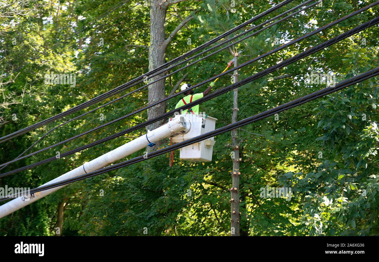 Coventry, CT USA. Sep 16 2019. Dans l'homme panier hydraulique des branches d'arbre de fraisage de lignes haute tension avec une colonne d'alimentation ont vu. Banque D'Images