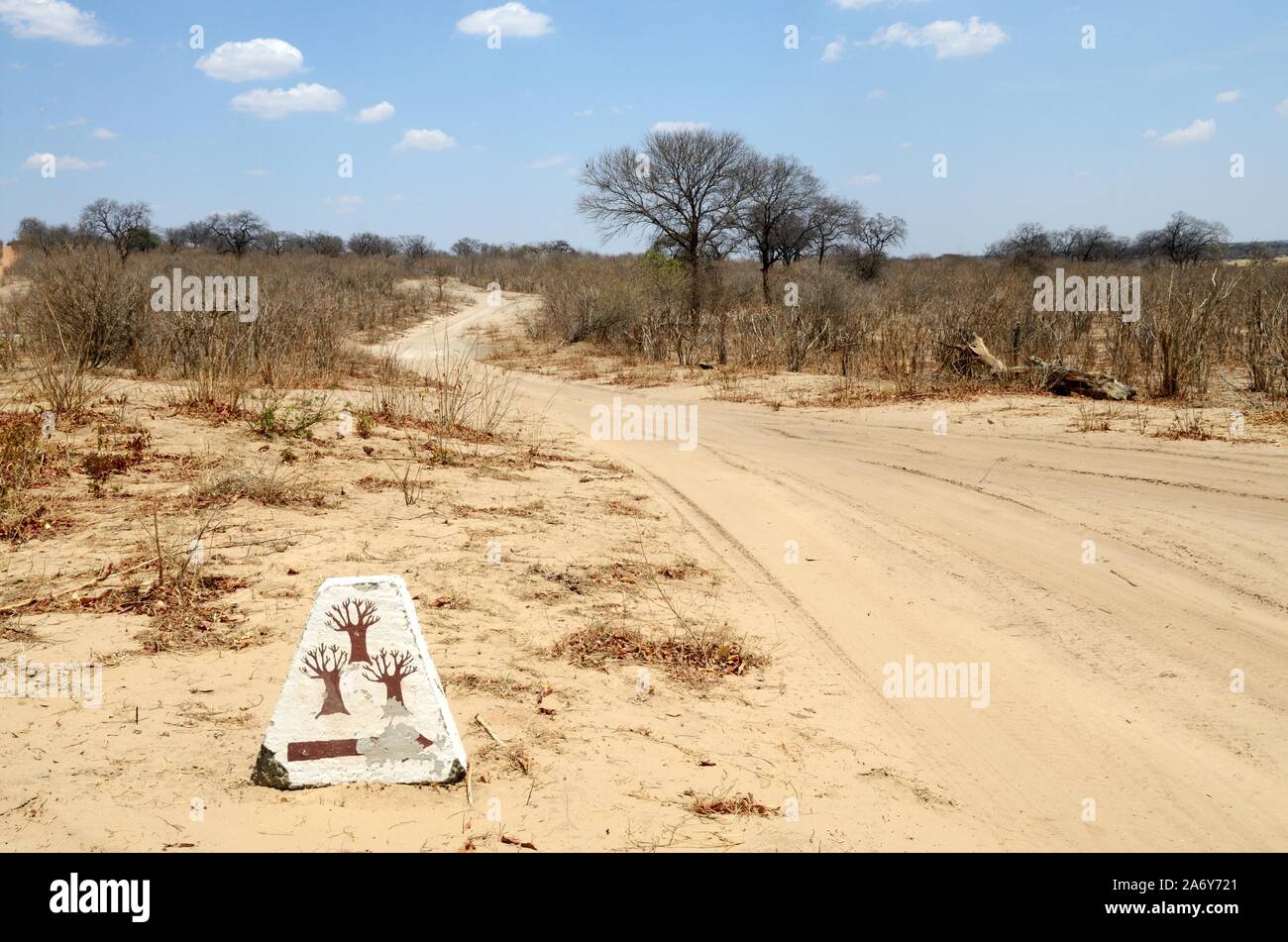 Pierre peinte avec baobab tréesused comme marqueur sur la route de sable Chobe parc national Botswana Afrique Banque D'Images