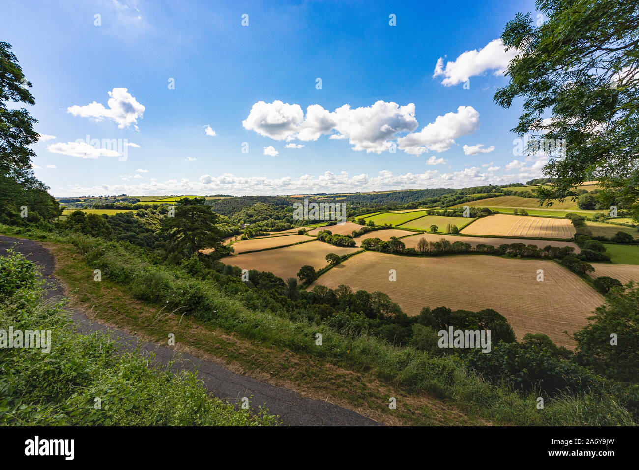 Sentier de l'été vue depuis la colline du Château, donnant sur la vallée de Torridge et champs avec ciel bleu, Great Torrington, Devon, Angleterre. Banque D'Images