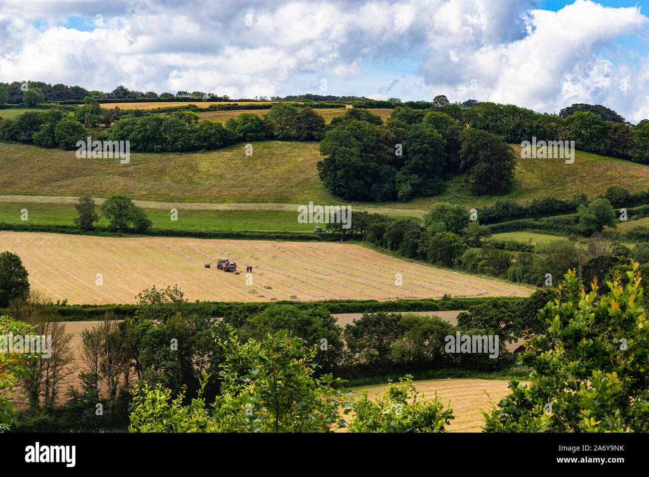 Pause agriculteurs : été vue depuis la colline du Château, donnant sur la vallée de Torridge et le foin en balles dans les champs Taddiport avec ciel bleu, Great Torrington, Devon Banque D'Images