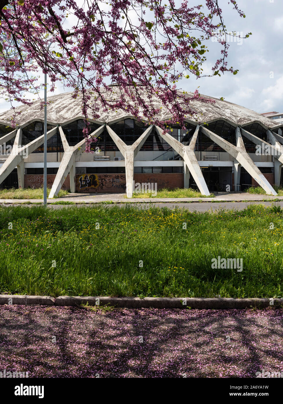 Rome. L'Italie. Palazzetto dello Sport, (1956-1957), conçu par Pier Luigi Nervi & Vitelozzi Annibale pour l'été de 1960 Jeux Olympiques. Banque D'Images