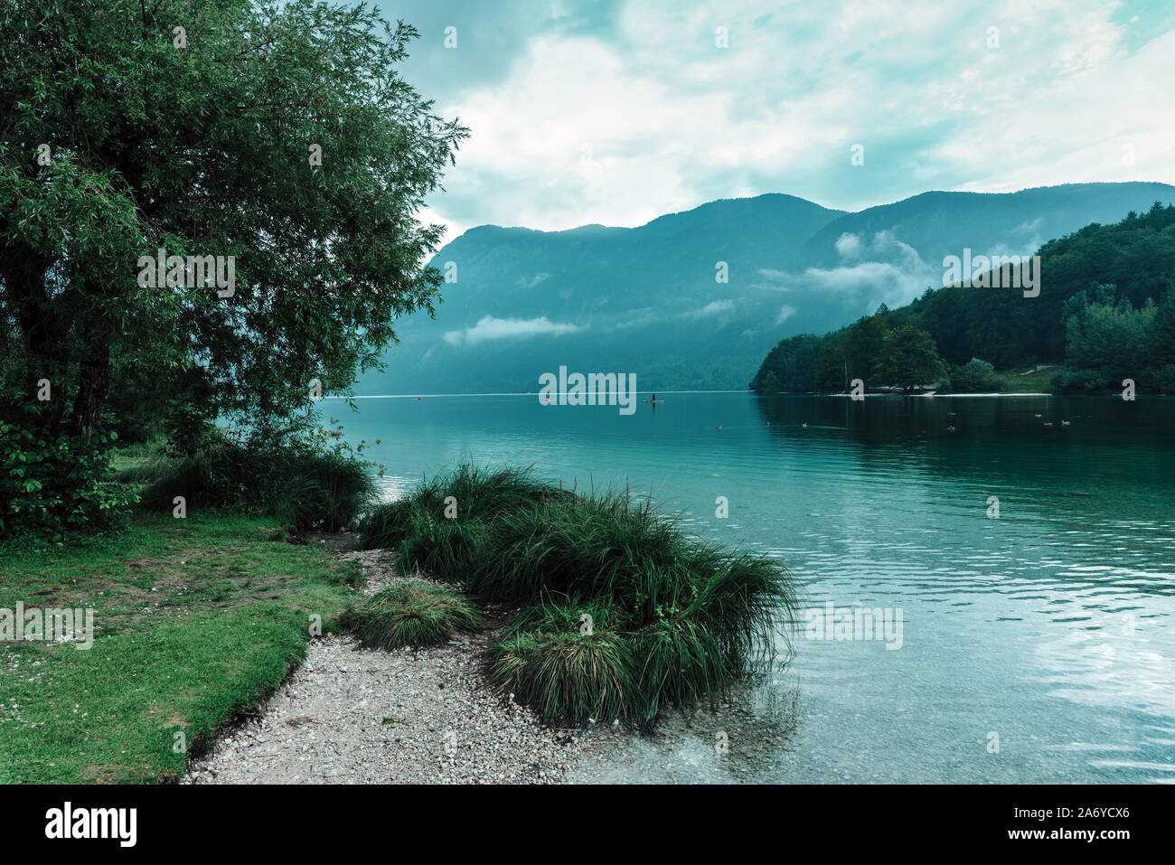 Le froid après-midi d'été au lac de Bohinj, la Slovénie avec couvert nuageux Banque D'Images