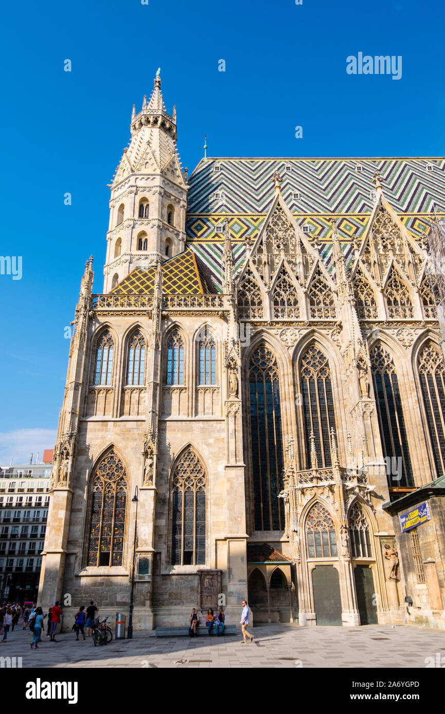 Stephansdom, Domkirche St Stephan, la cathédrale St Stephens, Stephansplatz, vieille ville, Vienne, Autriche Banque D'Images