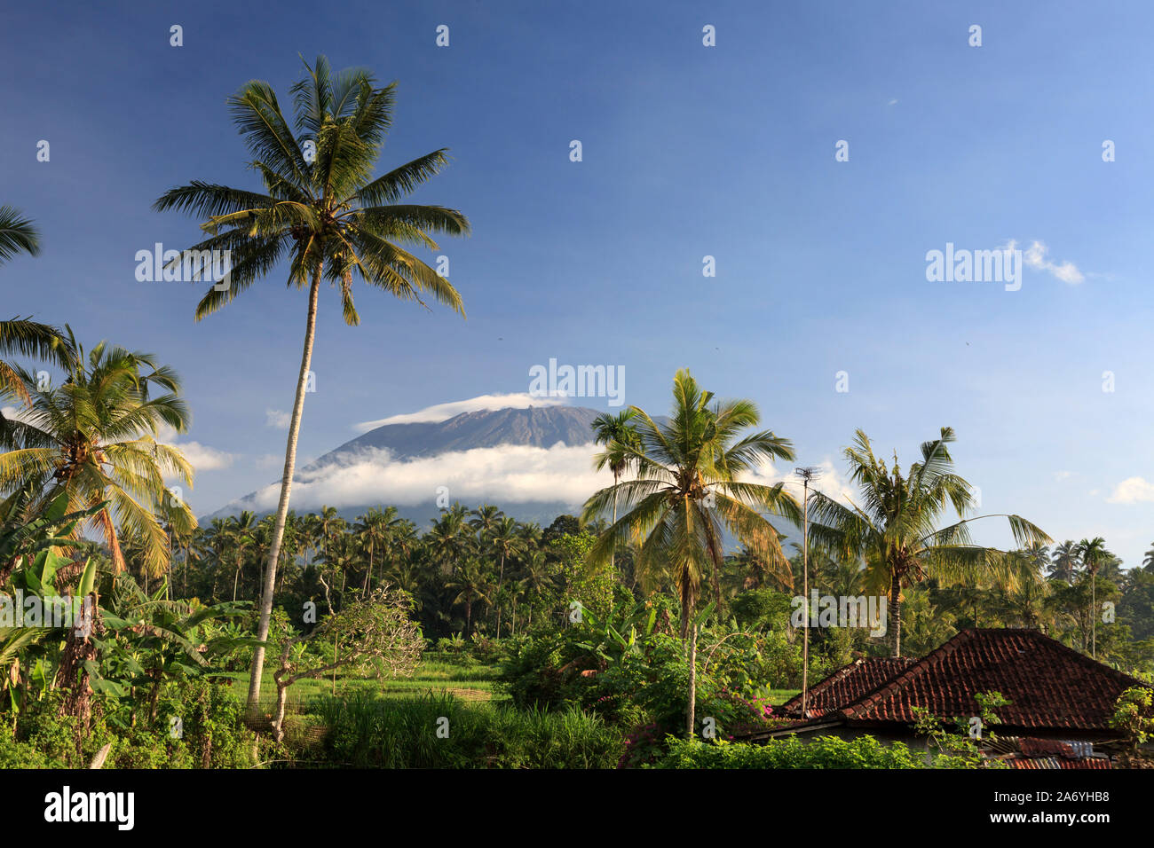 L'INDONÉSIE, Bali, rizières en terrasses et le volcan Gunung Agung Banque D'Images