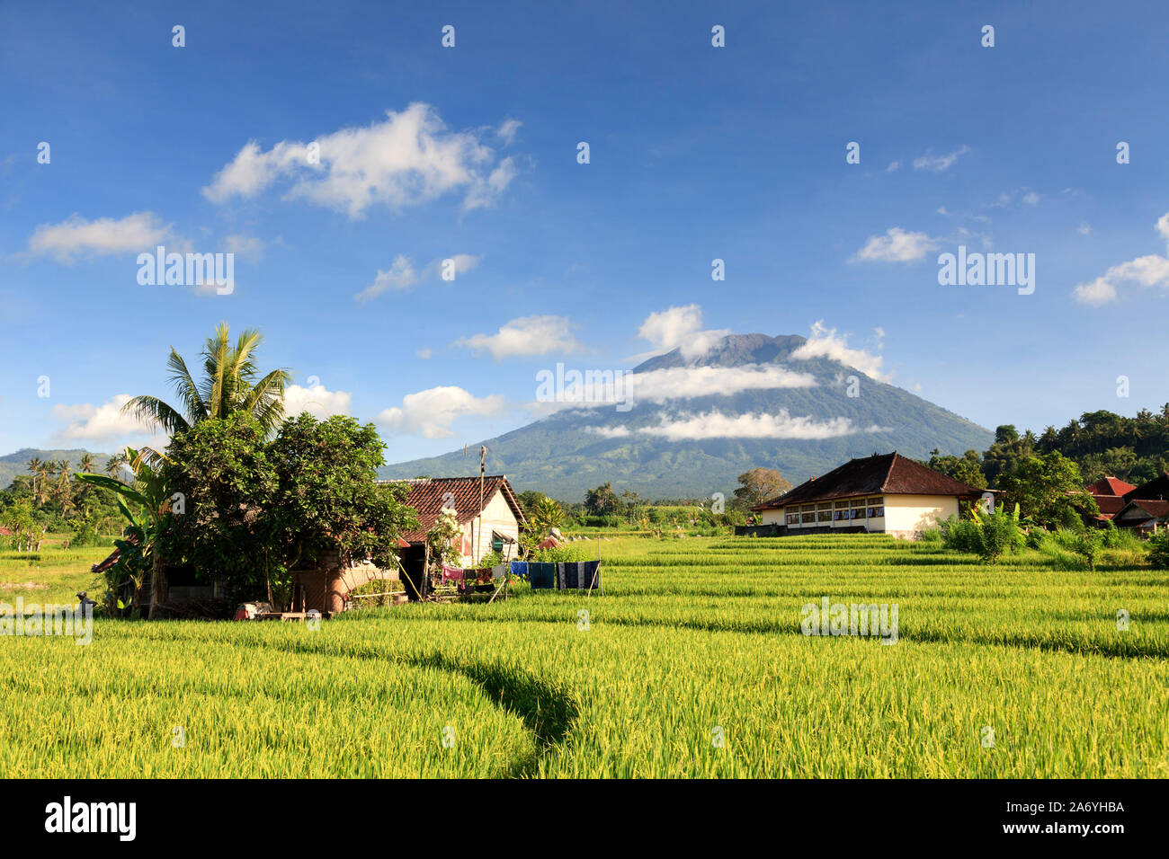 L'INDONÉSIE, Bali, rizières en terrasses et le volcan Gunung Agung Banque D'Images