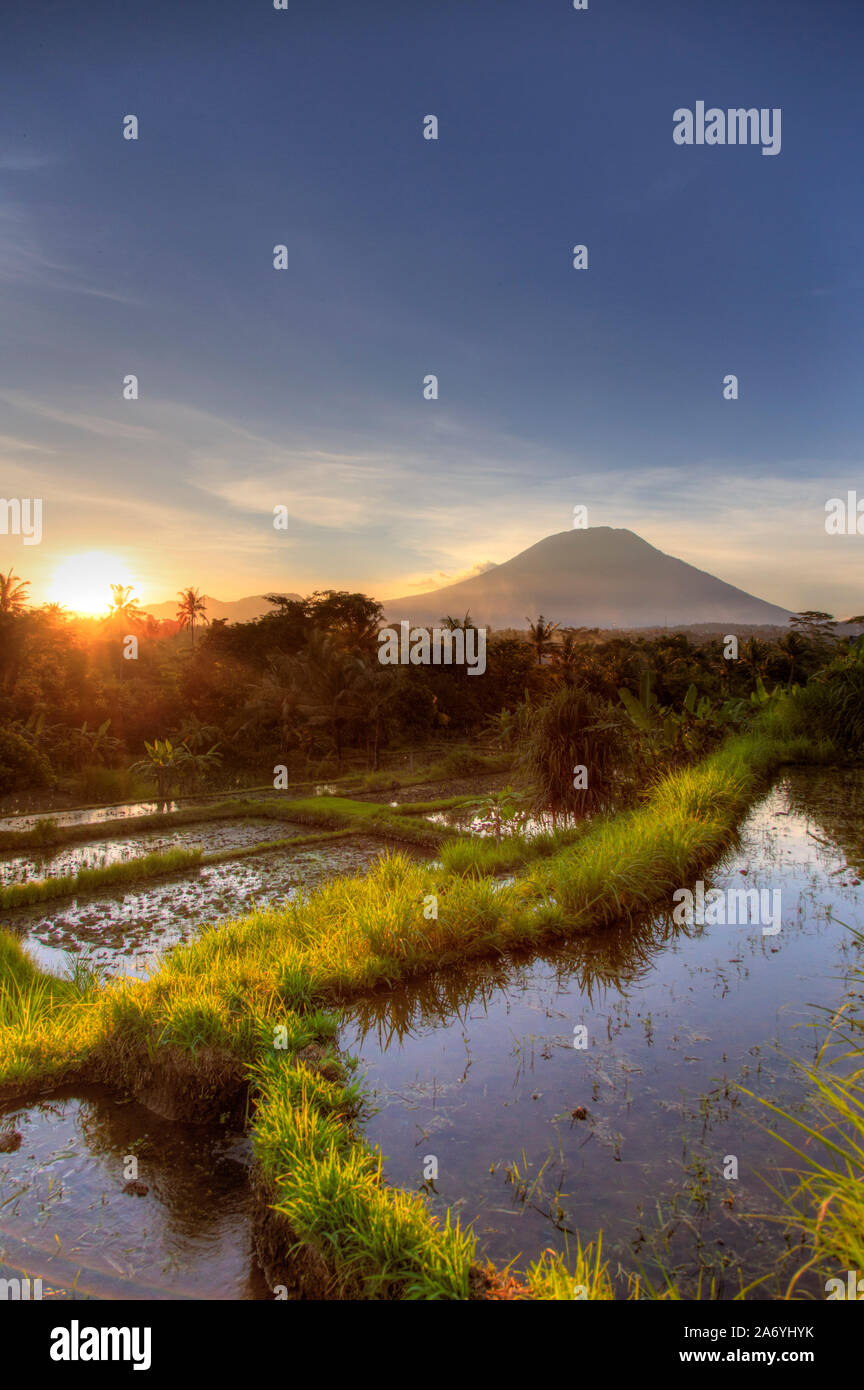 L'INDONÉSIE, Bali, à l'Est de Bali, Amlapura, les rizières et le volcan Gunung Agung Banque D'Images