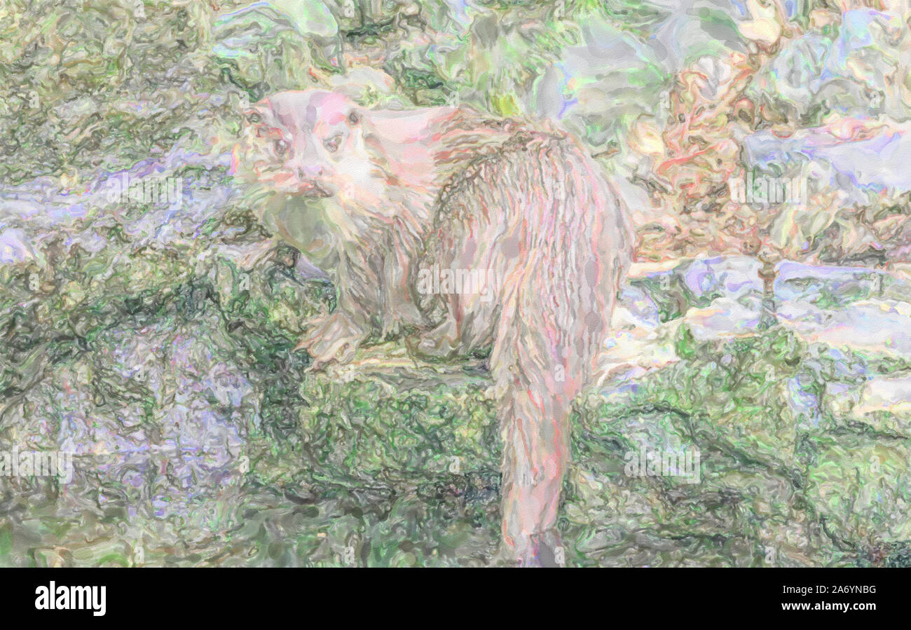 Illustration à l'aquarelle : Otter est assis sur une pierre et l'air dans l'eau, la loutre Banque D'Images