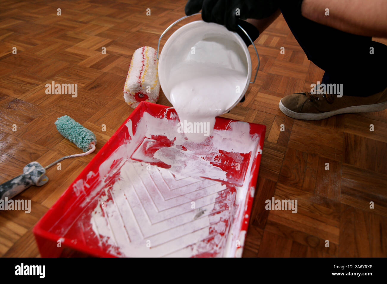 Travailleur de la construction et l'homme à faire terminer la rénovation à l'appartement. Peintre professionnel avec des gants de couleur blanche se verse le seau dans un bol rouge. Banque D'Images