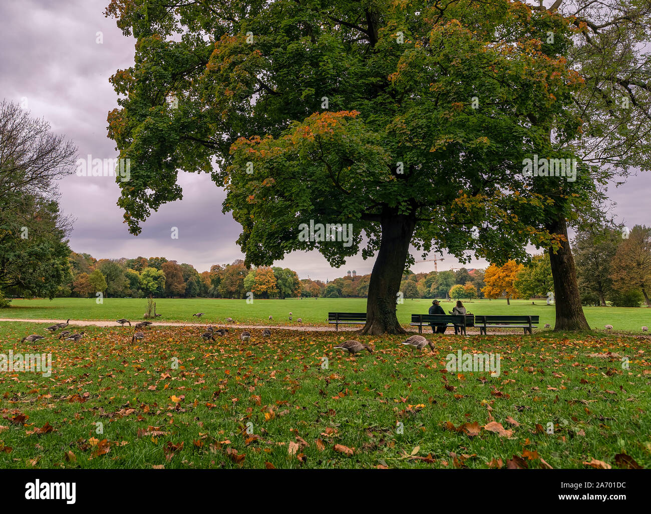 Un couple est assis dans un parc aux couleurs de l'automne et profiter de la régénération des paysages de l'automne. Banque D'Images