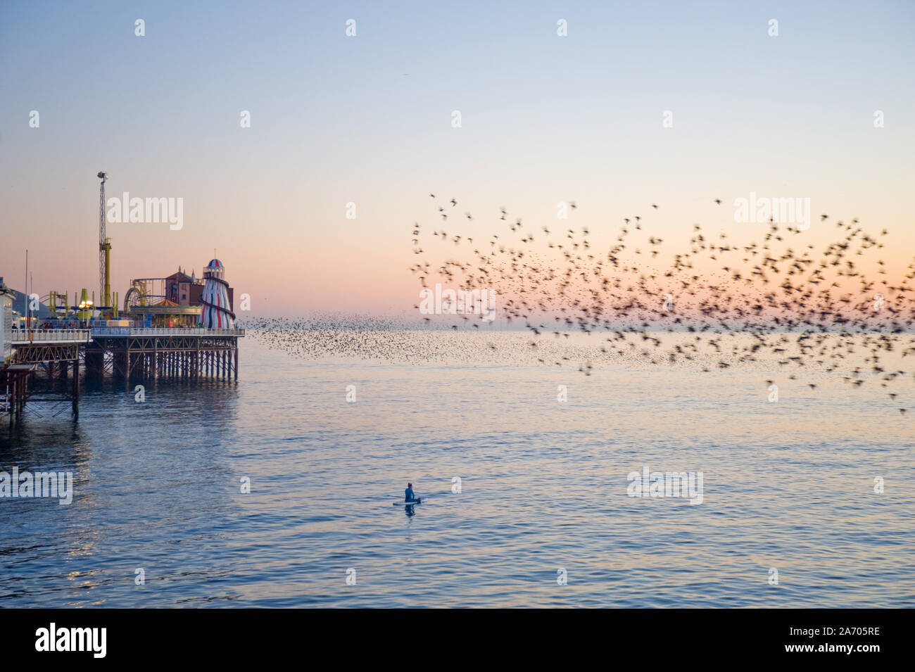 Un stand up paddle boarder montres comme un étourneau murmuration prend place près de Brighton's Palace Pier. Banque D'Images
