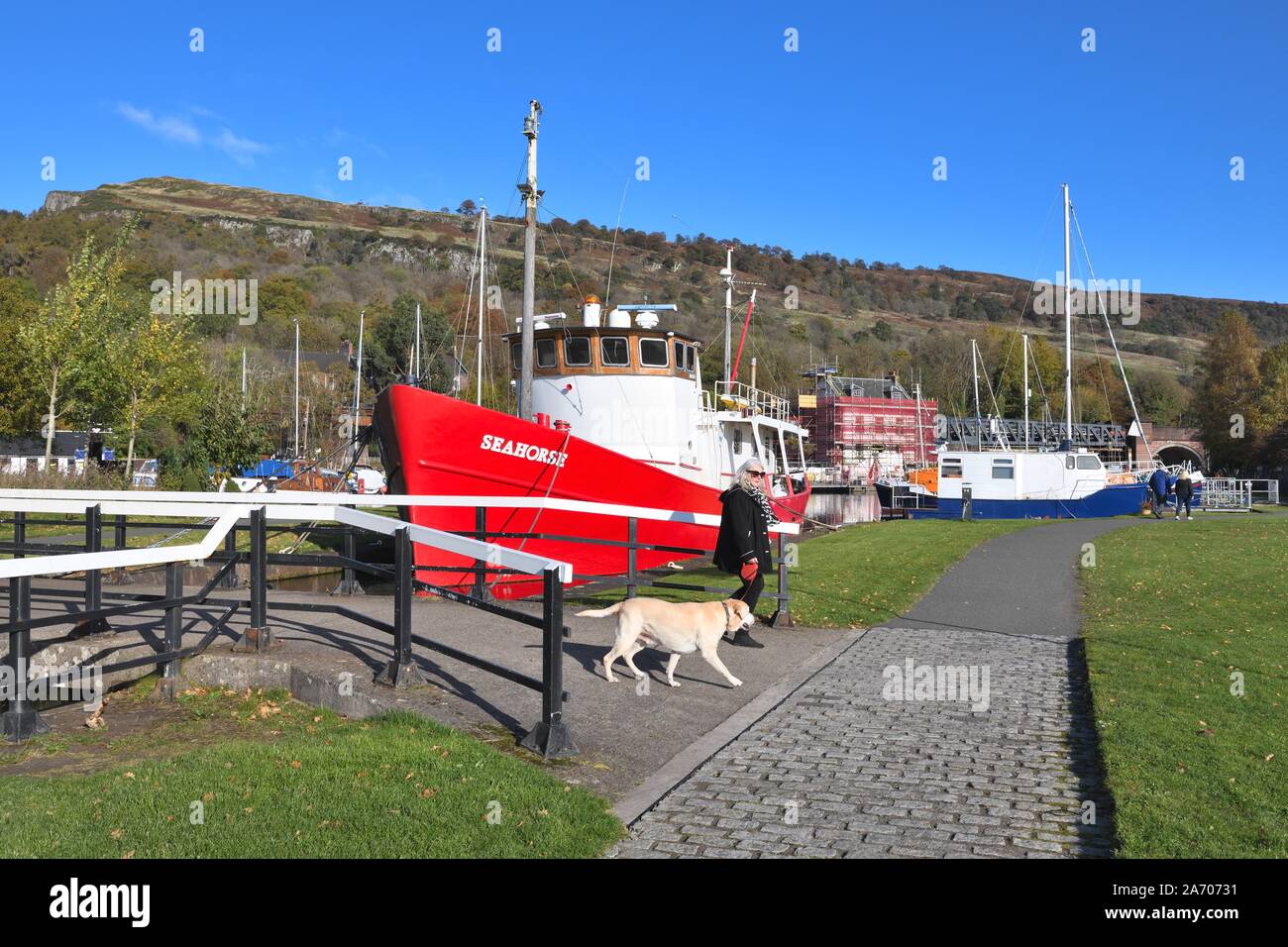 Femme mature promener son chien par le bateau d'hippocampes dans Bowling Harbour, sur la Forth et Clyde canal, East Dumbartonshire, Écosse, Royaume-Uni, Europe Banque D'Images