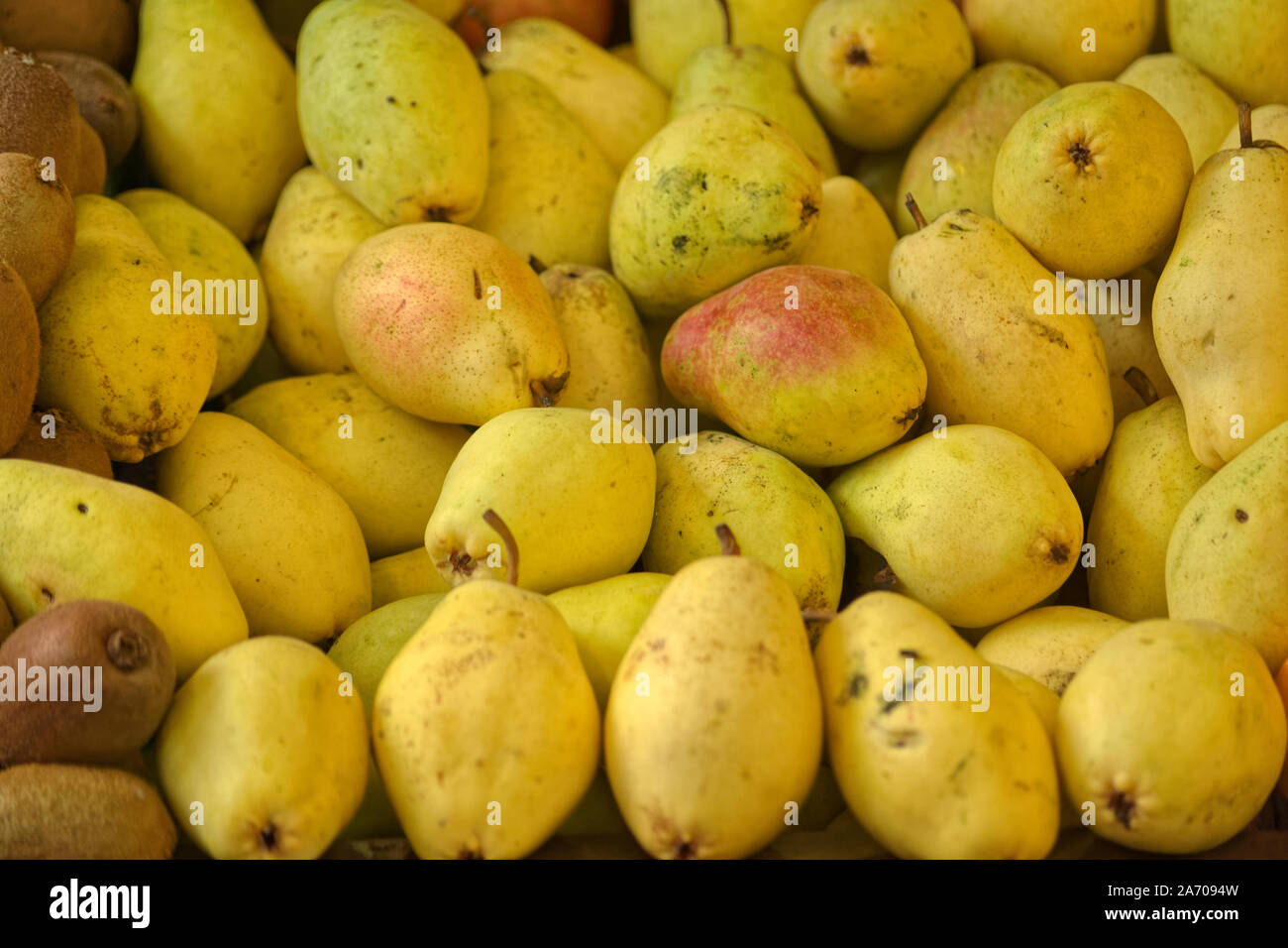 Groupe de couleur jaune et orange santa maria poires sur épicerie comptoir. Banque D'Images