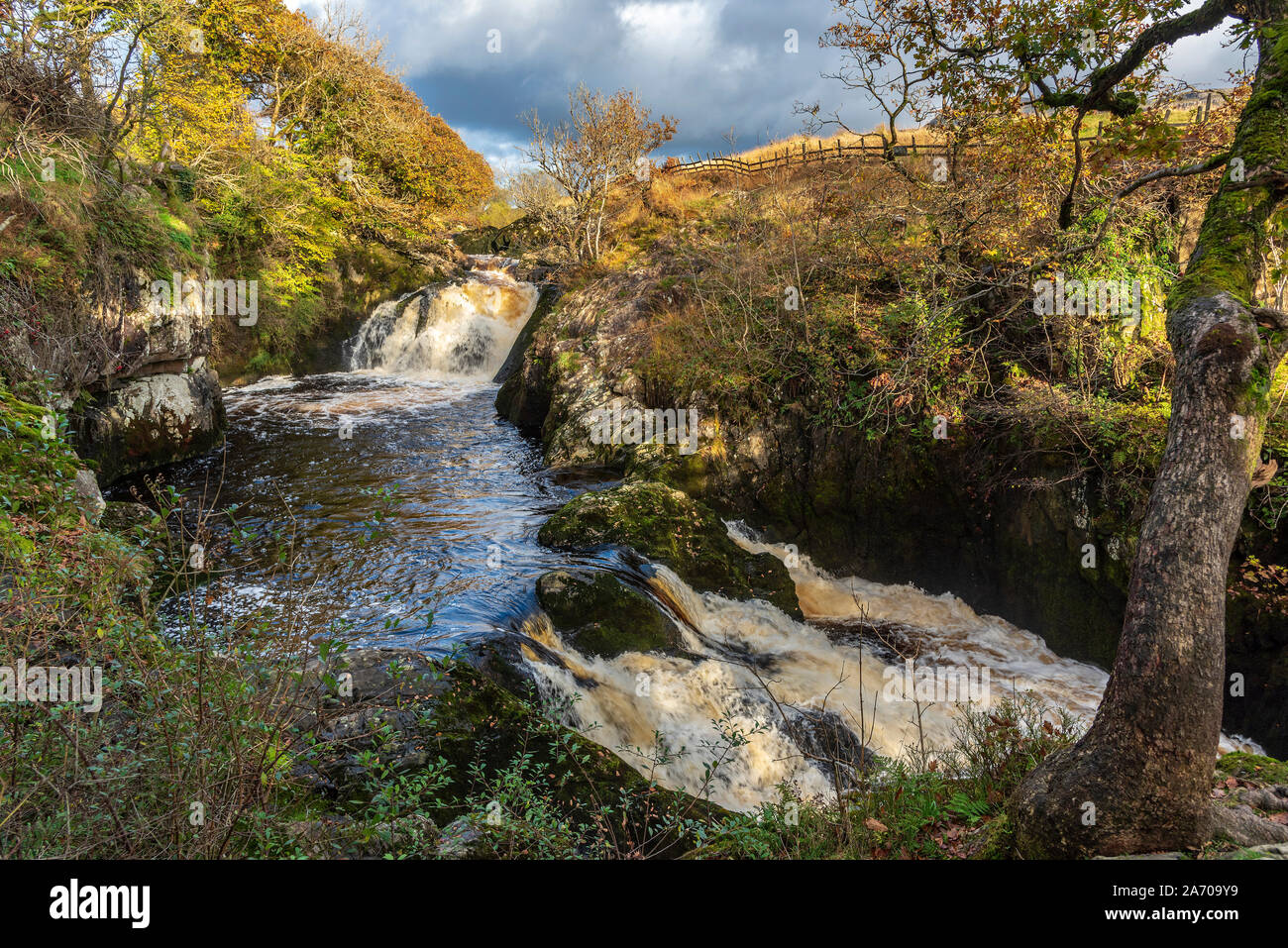 La rivière Doe dégringole le sentier des chutes d''Ingleton dans Yorkshire du Nord. Beezley falls. L'Ingleton Glens sont une SSSI. Banque D'Images