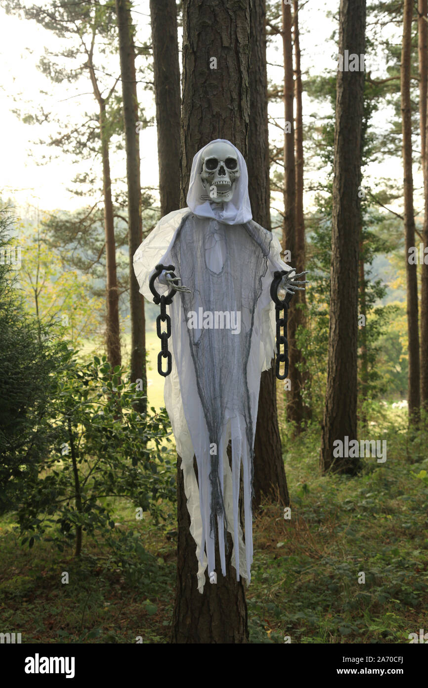 Scary Halloween figure monté sur un arbre. Banque D'Images