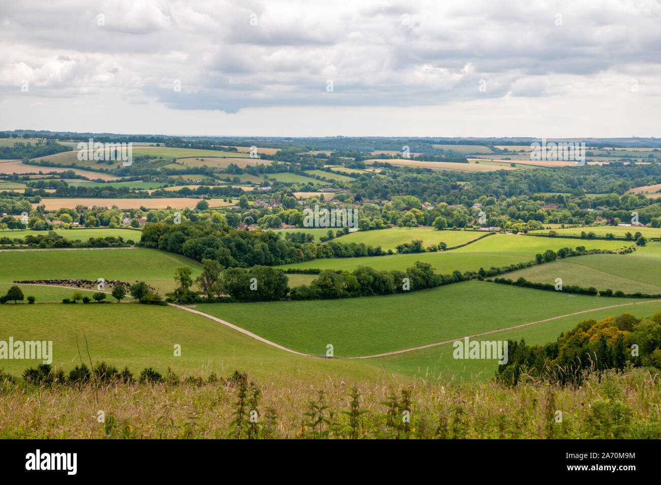 Une vue dégagée sur la campagne du Hampshire de South Downs Way près de la réserve naturelle nationale de Beacon Hill est de Winchester, en Angleterre. Banque D'Images