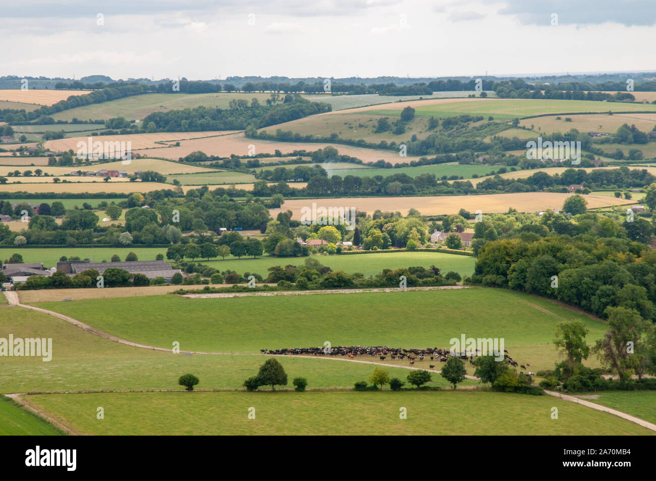 Une vue dégagée sur la campagne du Hampshire de South Downs Way près de la réserve naturelle nationale de Beacon Hill est de Winchester, en Angleterre. Banque D'Images