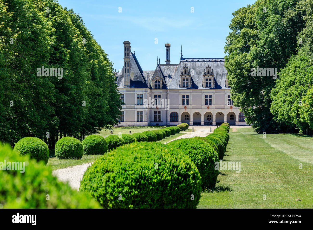 France, Loir et Cher, vallée de la Loire classée au Patrimoine Mondial de l'UNESCO, Cellettes, Chateau de Beauregard, parc et jardins, allée bordée de Chambord wit Banque D'Images