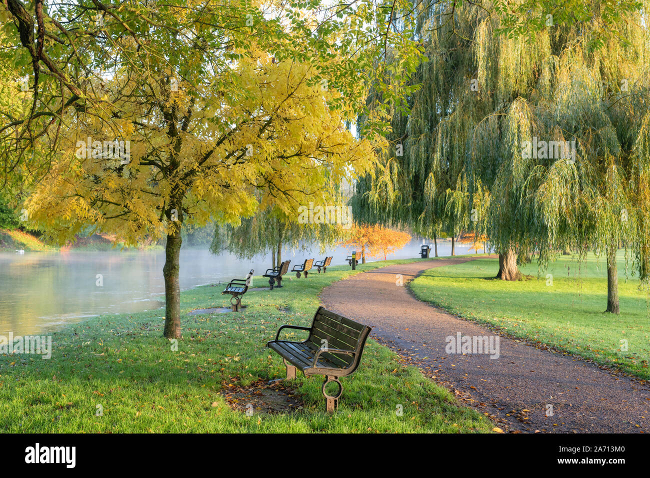 Les arbres d'automne le long d'une rivière en crue avon sur un matin d'automne. Stratford Upon Avon, Warwickshire, Angleterre Banque D'Images