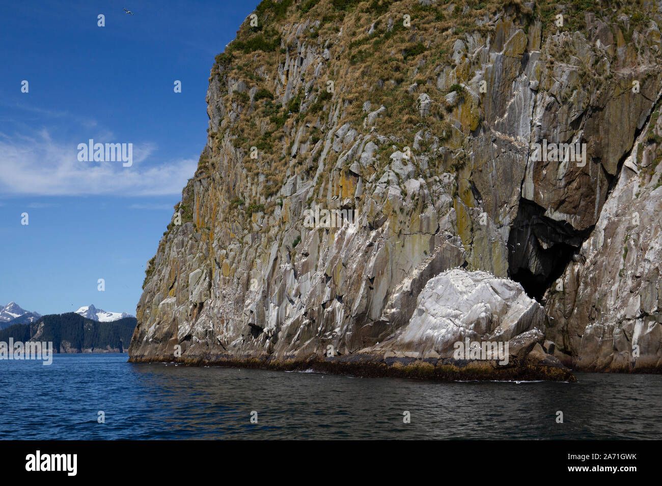 Kenai Fjords National Park dans le borough de la péninsule de Kenai en Alaska près de Seward. Banque D'Images