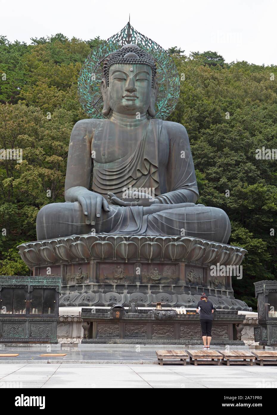 Tongil Daebul, Grand Bouddha de la réunification, le Parc National de Seoraksan, Gangwon-do, Corée du Sud Banque D'Images