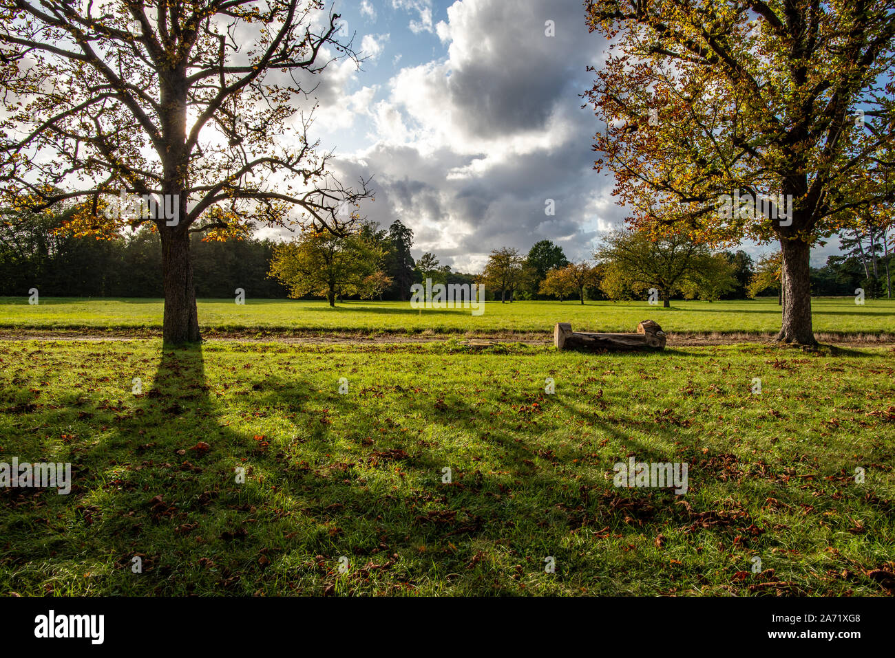 Champs-sur-Marne, France - le 6 octobre 2019 : banc rustique confrontée à une baisse de soleil dans un parc avec des arbres donnant du feuillage de l'automne, prises dans un français officiel ga Banque D'Images