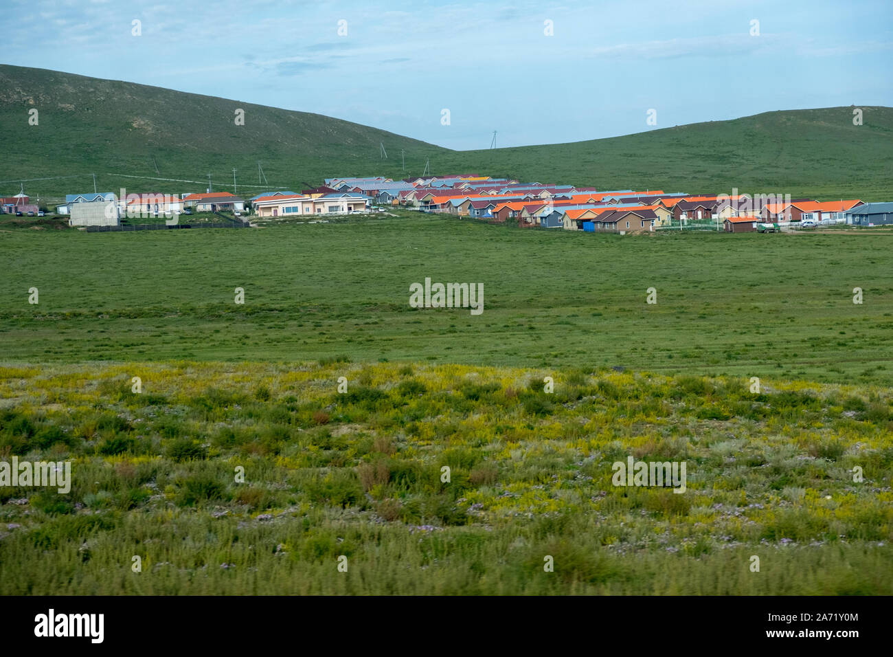 Mongolian-Manchurian incroyable Grassland Banque D'Images