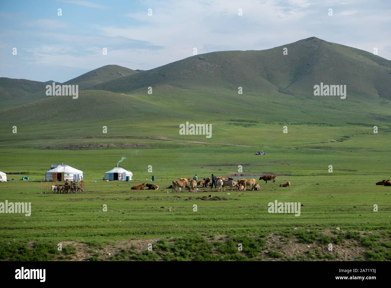 Mongolian-Manchurian incroyable Grassland Banque D'Images