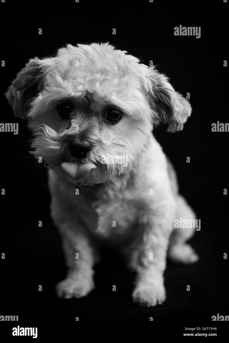 Vendredi Banque D'Images