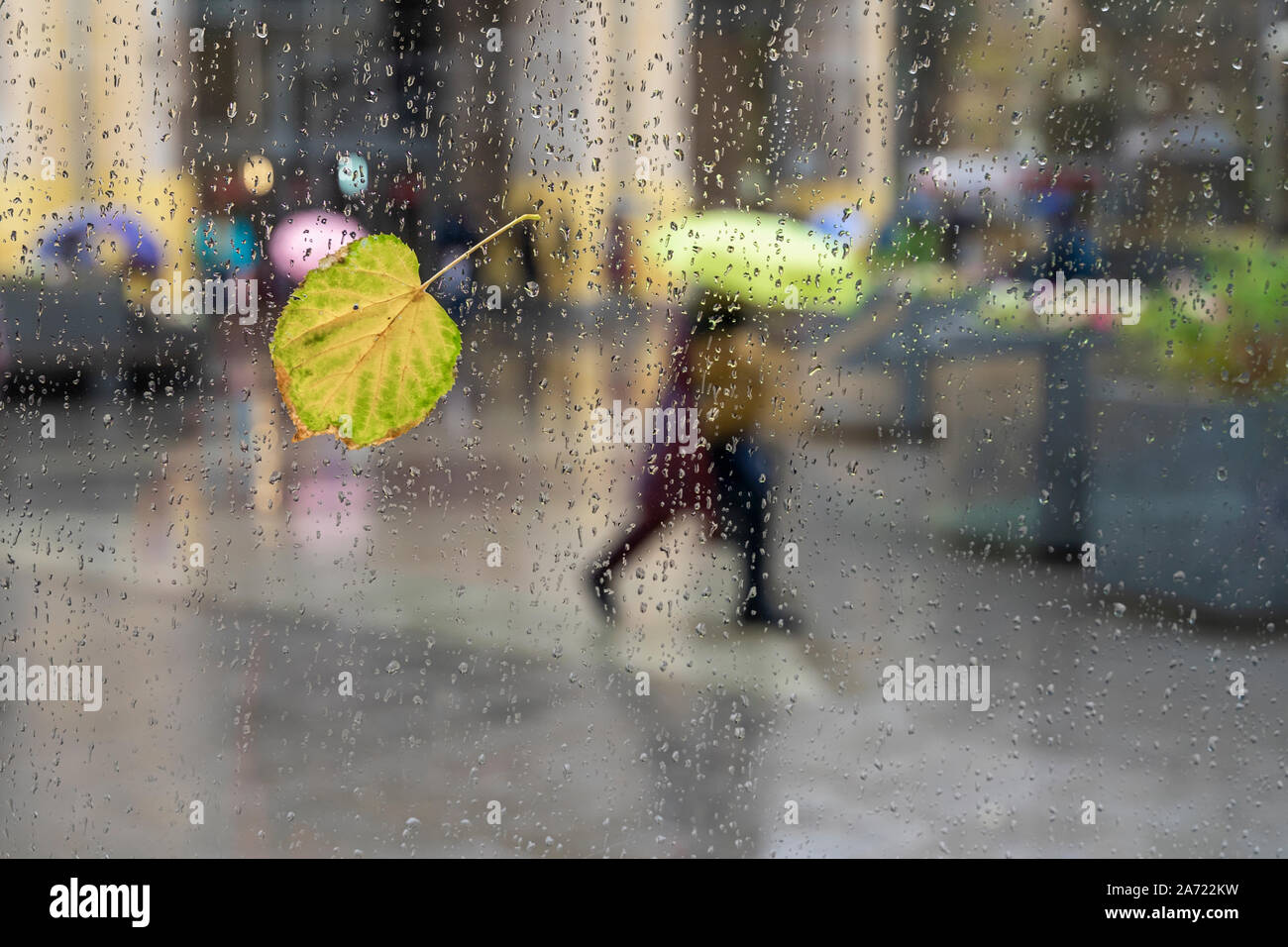 Résumé Les gens sous le parapluie, le temps pluvieux, résumé, blurred  motion. Vue à travers la fenêtre de verre avec des gouttes de pluie et un  jaune tombé sur feuille Photo Stock -