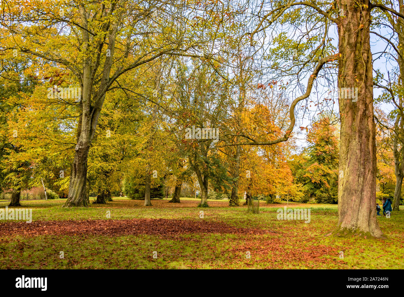 Waddesdon Manor, Buckinghamshire, Angleterre. Banque D'Images