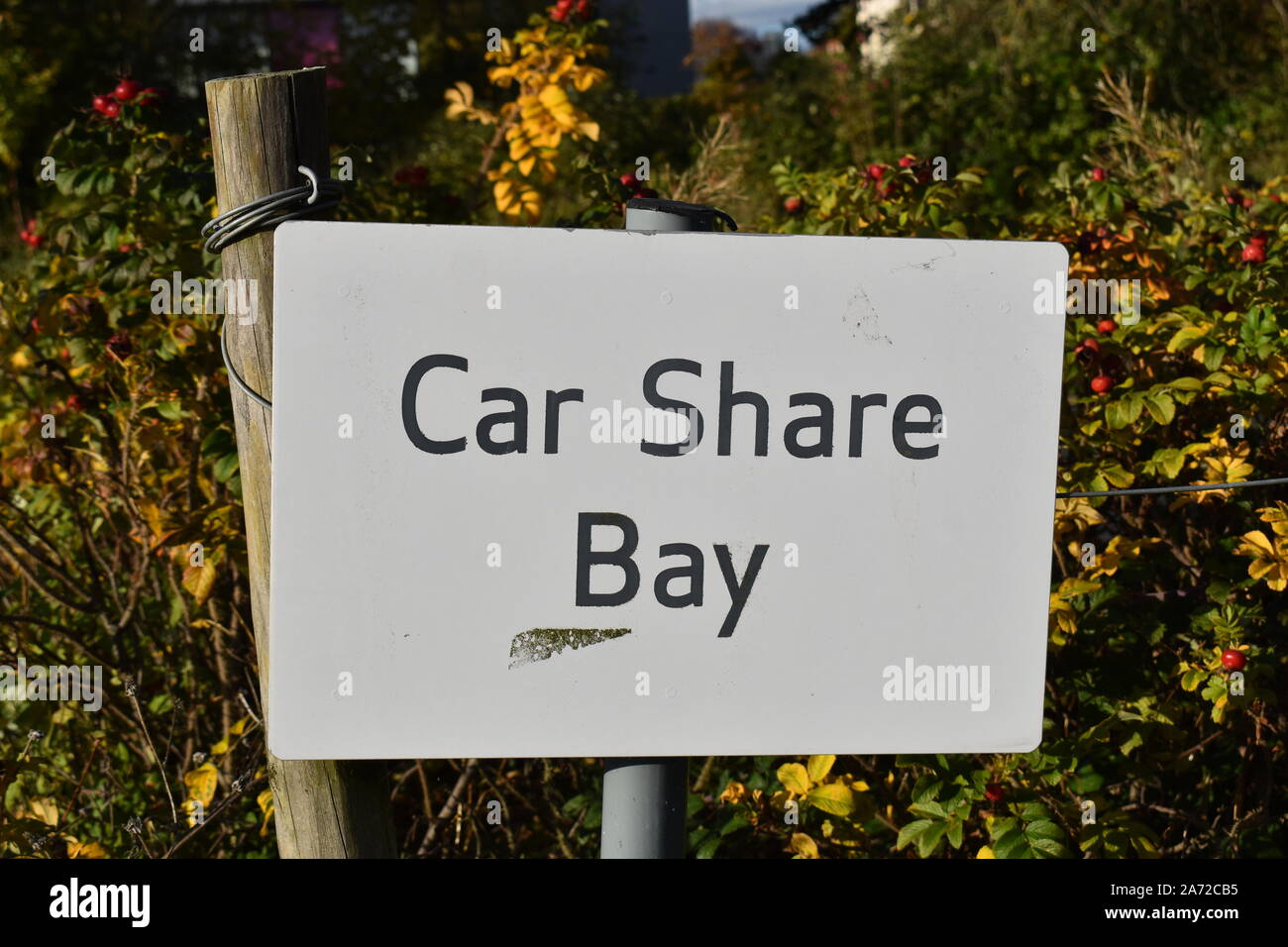 Car Share Bay signe. Un espace de stationnement réservé pour les conducteurs qui prennent part à un système de partage de voiture, mis en place pour essayer de réduire l'utilisation de la voiture. Banque D'Images
