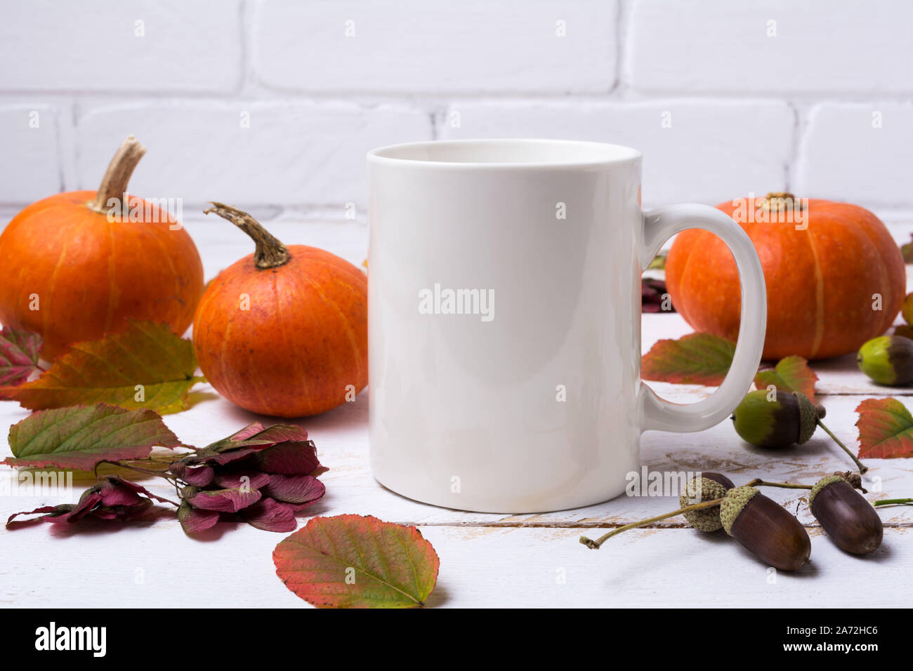 Tasse à café blanc immersive avec des citrouilles, des feuilles d'automne et de glands. Tasse vide pour la conception des maquettes de promotion. Banque D'Images