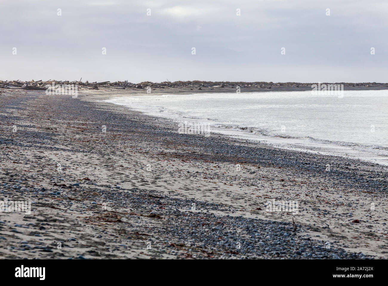 Le dormeur dormeur spit sur le côté de la baie, Dungeness State Park, Washington State, USA. Banque D'Images