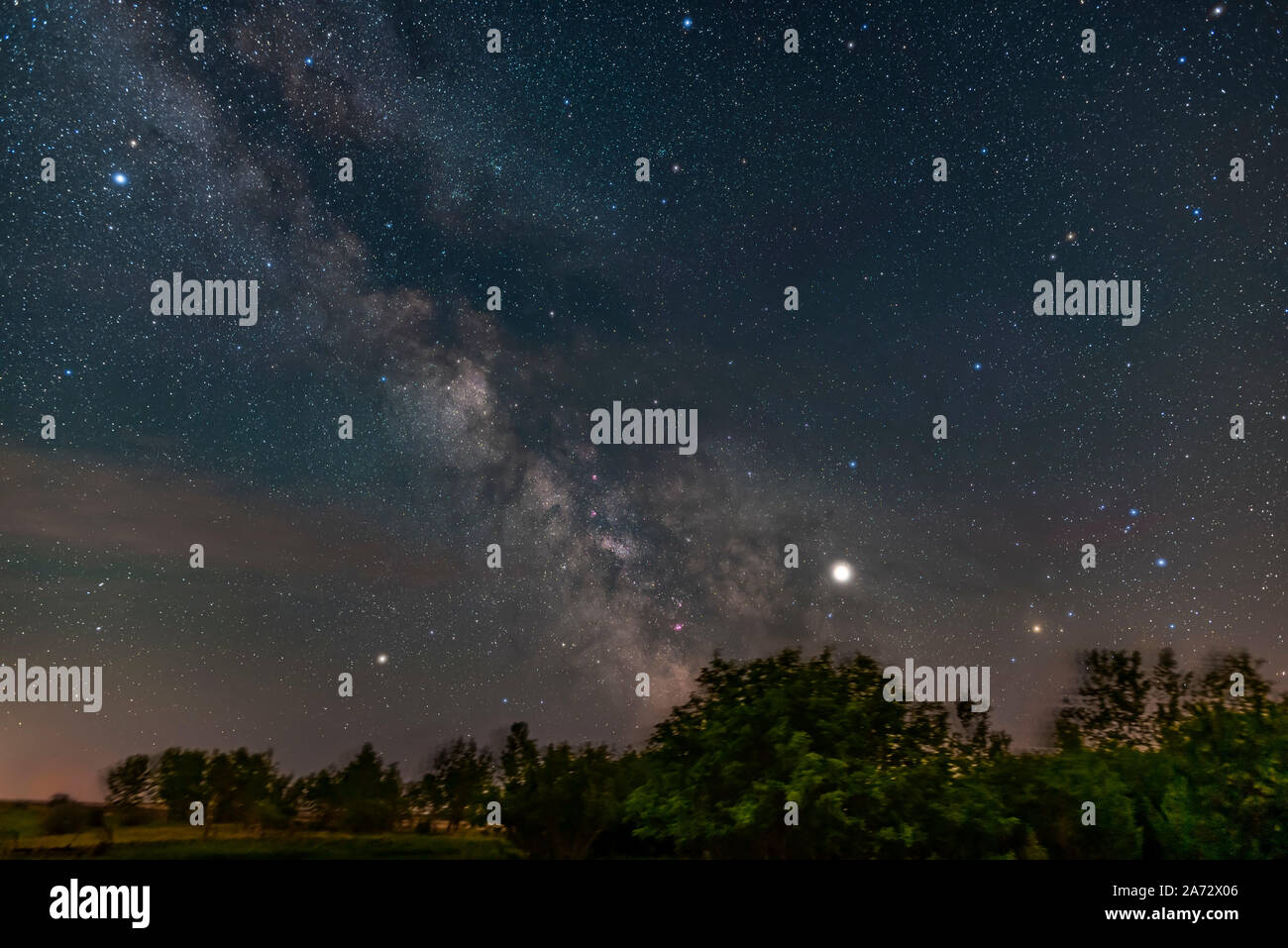 L'été des constellations Sagittaire et Scorpion faible d'écrémage dans le sud de ma latitude de 51° N, au-dessus des arbres de ma cour site j Banque D'Images