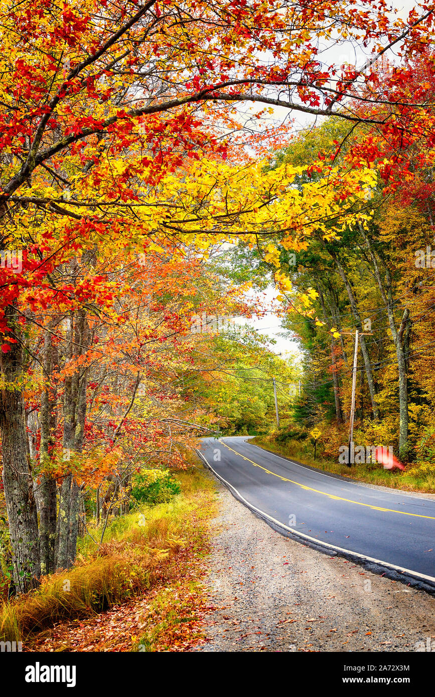 Très belle route qui serpente à travers de splendides d'automne feuillage d'automne en Nouvelle Angleterre. Banque D'Images