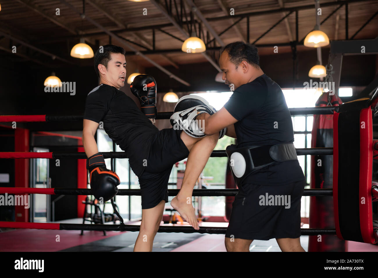 Kick boxer asiatique professionnel frapper avec le genou droit de formateur professionnel dans la boxe à l'arrière-plan studuim au fitness. Frappent de Boxer Banque D'Images
