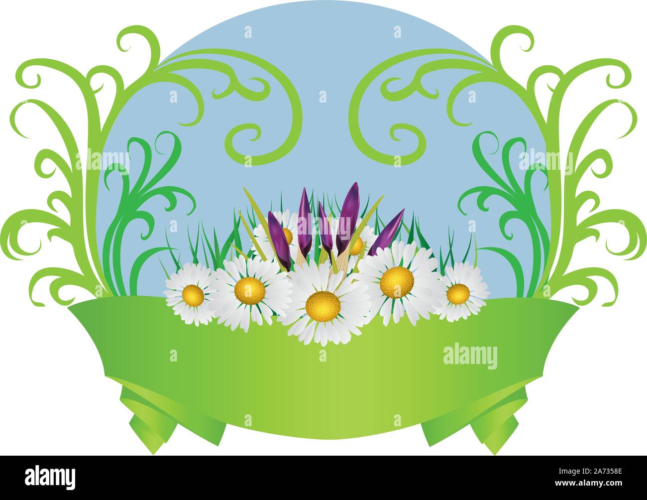 Arrière-plan de printemps avec fleurs purple crocus et marguerites avec ruban vert. Illustration de Vecteur