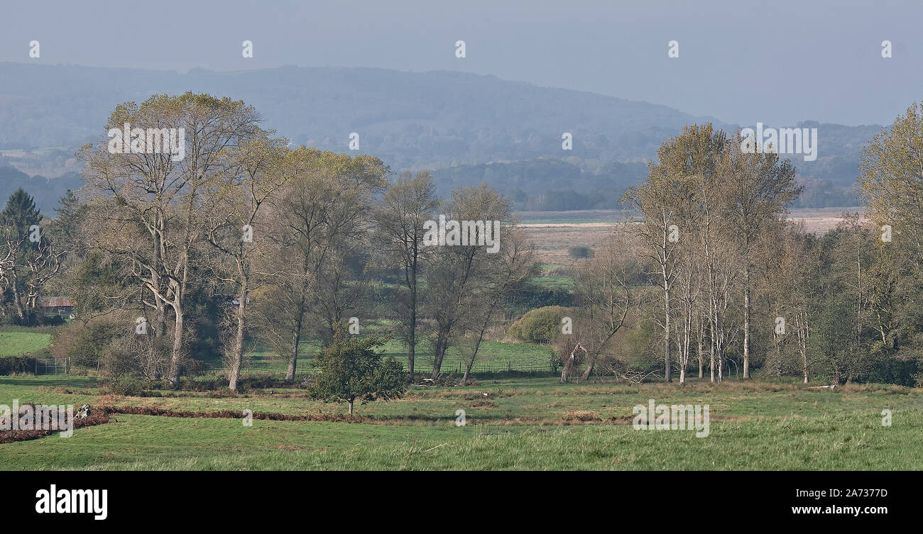 Automne sur rural meadows de Parham Park pour les South Downs Banque D'Images Automne sur rural meadows de Parham Park pour les South Downs Banque D'Images