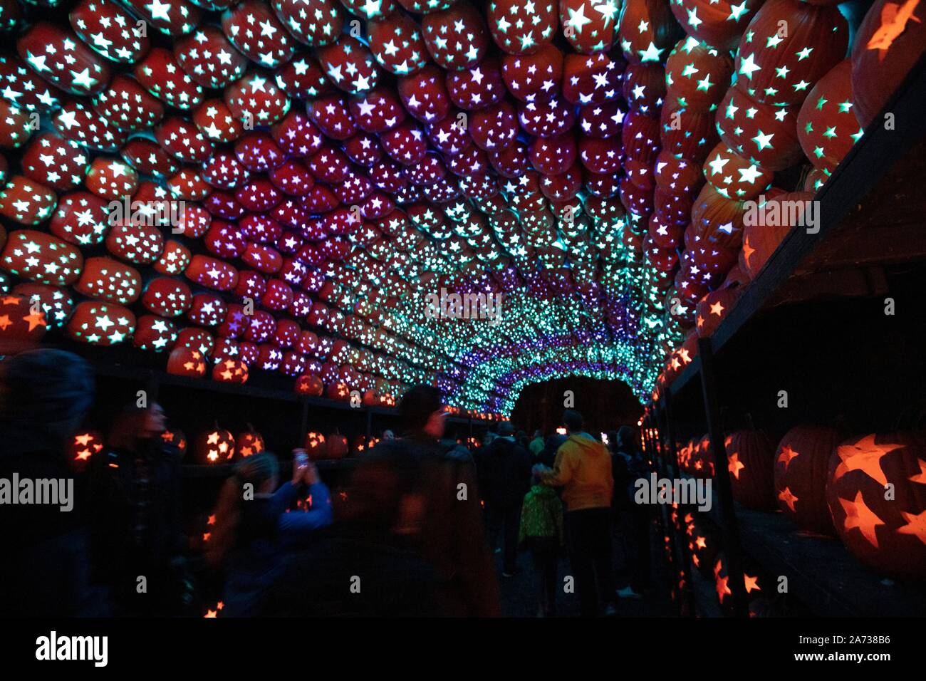 New York, USA. 29 Oct, 2019. Les visiteurs voir l'illuminé Jack O'lanternes au Great Jack O'Lantern Blaze tenue à Croton-on-Hudson de l'État de New York, États-Unis, 29 octobre 2019. Plus de 7 000 allumé Jack O'Lanternes, tous conçus et sculptés à la main par des artisans, sont sur l'affichage pendant le spectacle, qui devrait attirer plus de 180 000 visiteurs cette année. Credit : Wang Ying/Xinhua/Alamy Live News Banque D'Images