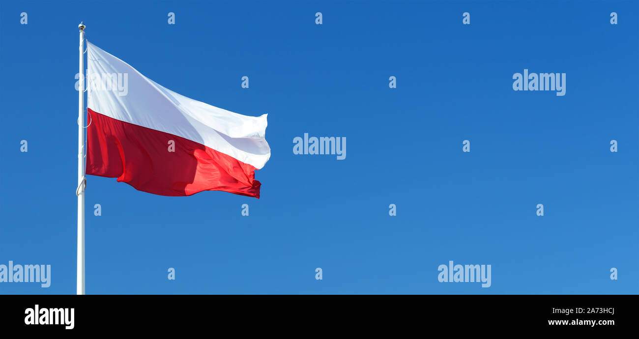 Brandissant le drapeau national de la Pologne sur un fond de ciel bleu clair avec copie espace pour le texte ou l'ads Banque D'Images