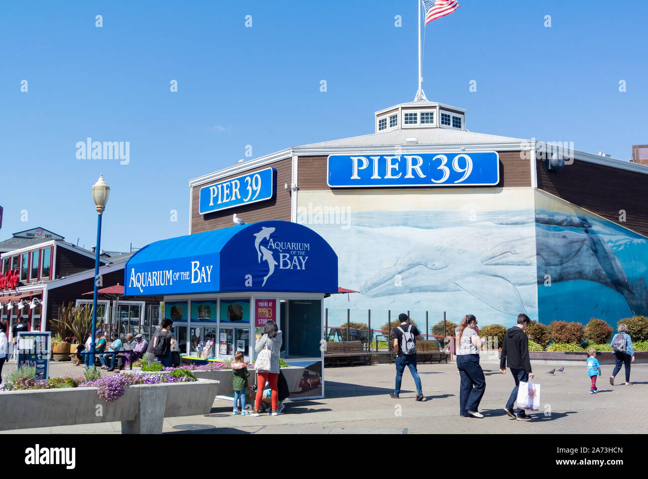 San Francisco, Californie, États-Unis d'Amérique, Amérique du Nord, l'Aquarium de la baie, dans le quartier de Fisherman's Wharf Banque D'Images