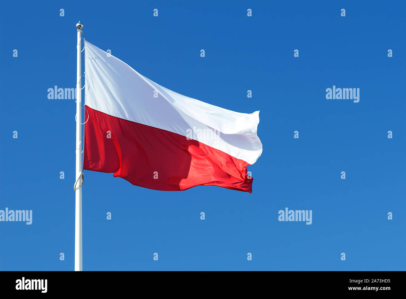Brandissant le drapeau national de la Pologne sur un fond de ciel bleu clair Banque D'Images