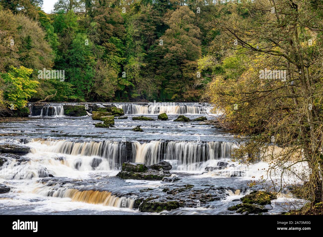 Aysgarth Falls supérieure, Wensleydale, North Yorkshire, Angleterre. Banque D'Images