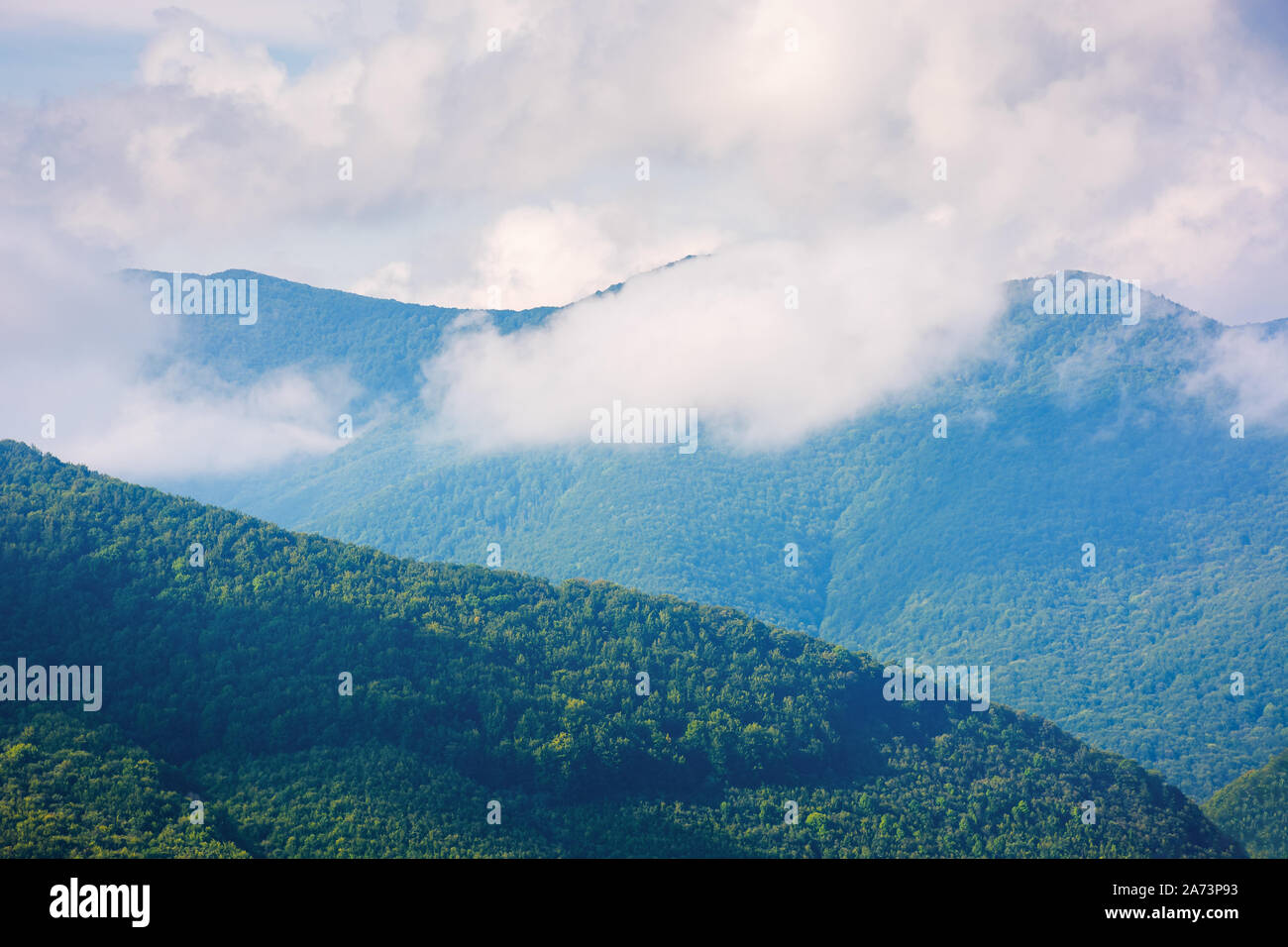 Nuage au-dessus de la colline boisée paysage magnifique campagne. Banque D'Images