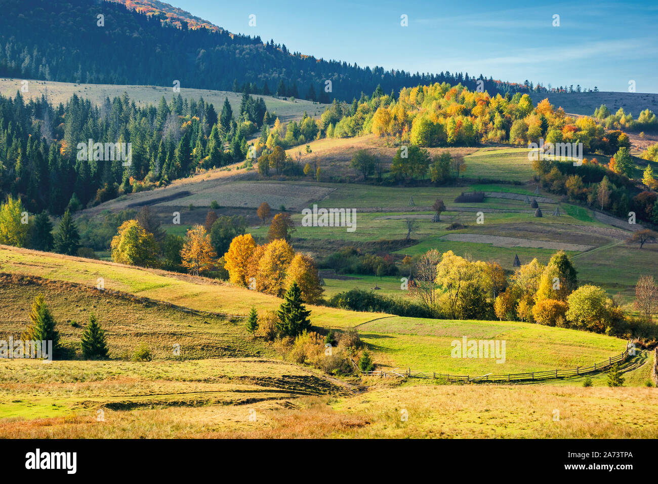 Paysage rural d'automne ensoleillé dans les montagnes. beau paysage de collines avec des arbres à feuillage coloré. Banque D'Images