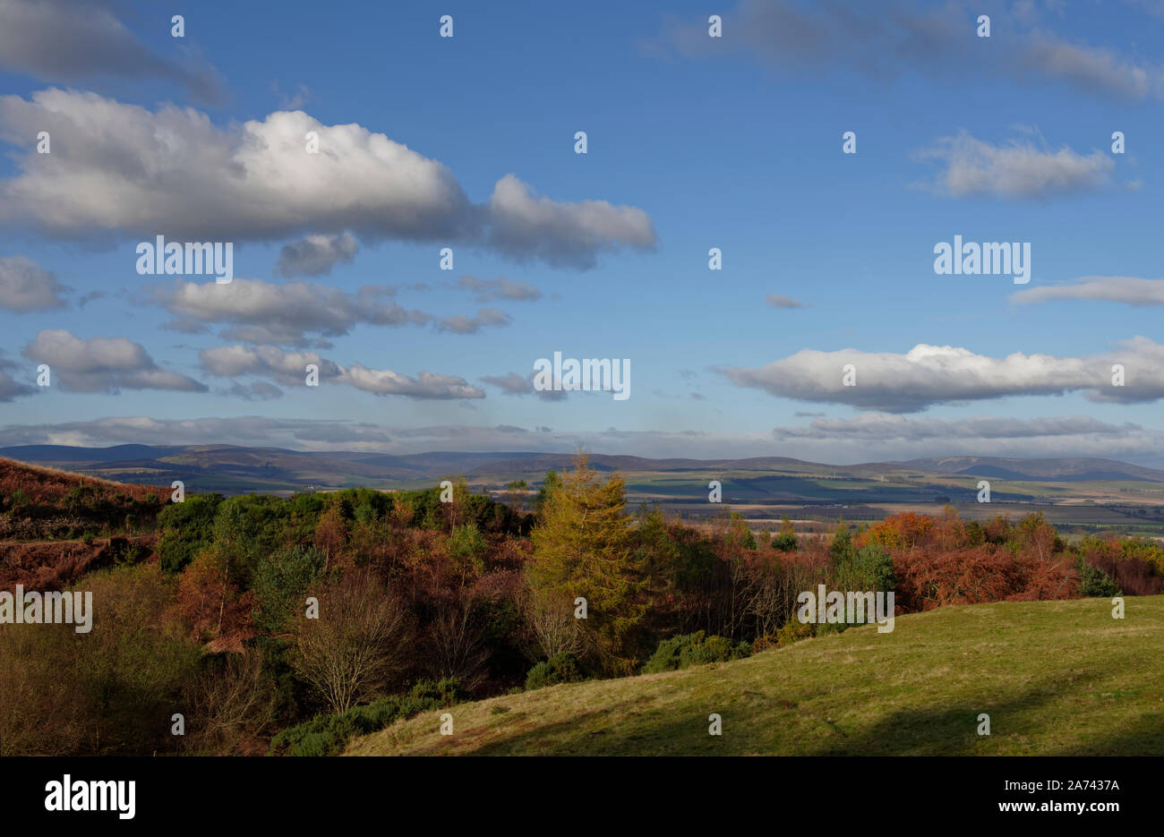 La vue nord de Finavon Hill vers l'Angus Glens sur un brillant clair, avec le feuillage des arbres début pour afficher ses couleurs d'automne. Banque D'Images