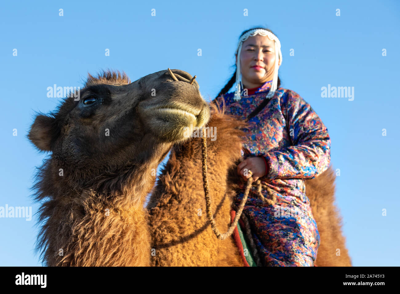 Femme en tenue mongole traditionnelle avec son chameau de Bactriane. Désert de Gobi, en Mongolie. Banque D'Images